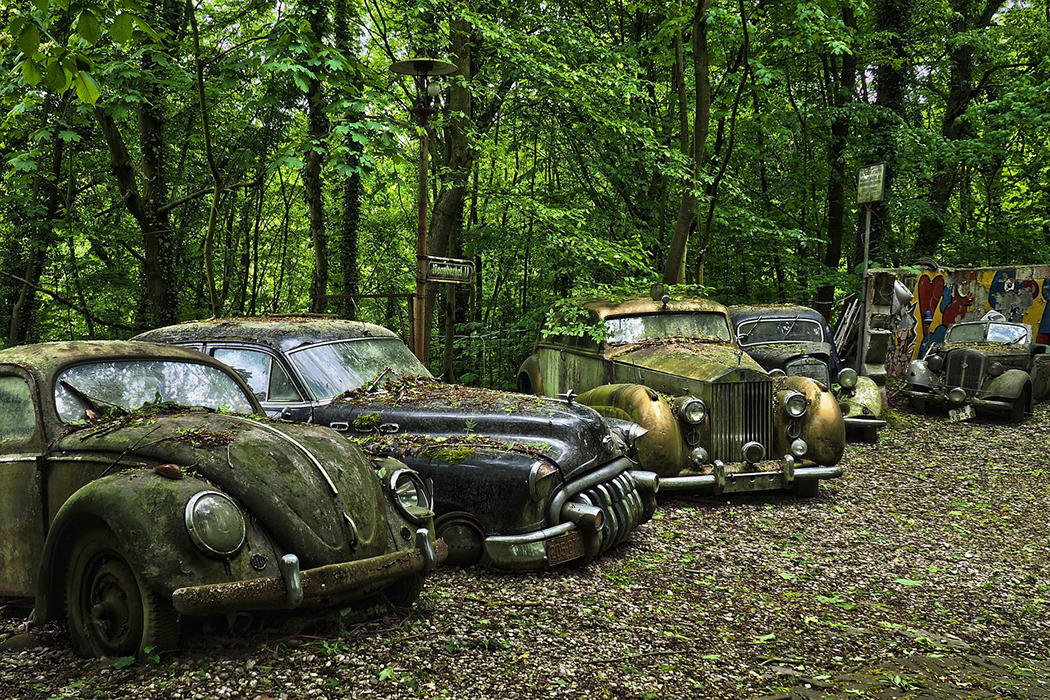 5 unkept vintage automobiles in a forest, they are covered in moss, rust, and leaves