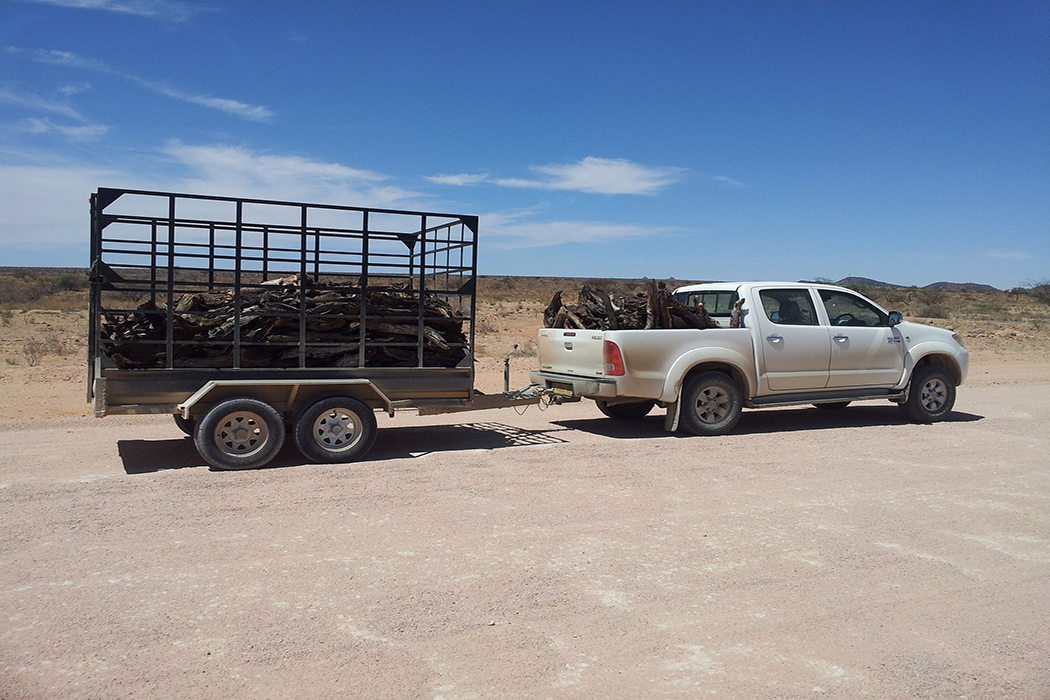 truck towing a trailer wiht wood